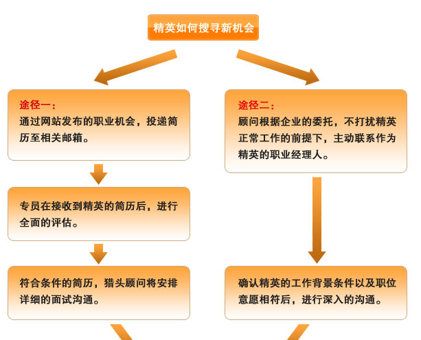 上海丹拿企业管理，丹拿人才