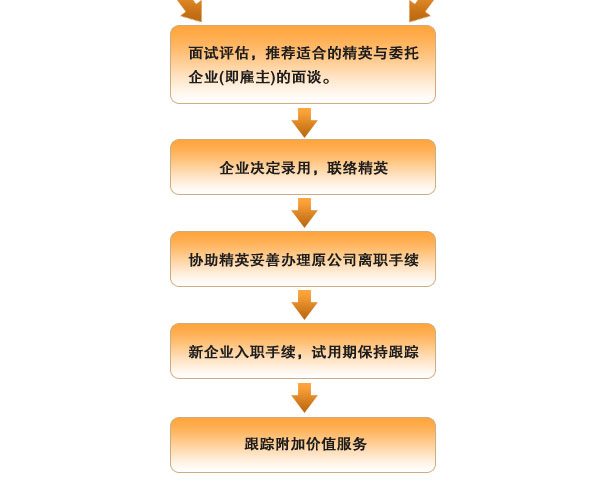 上海丹拿企业管理，丹拿人才